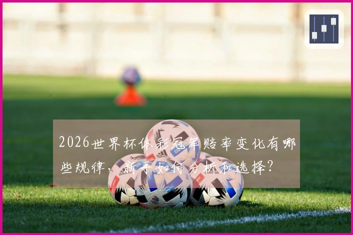 2026世界杯体彩冠军赔率变化有哪些规律，新手如何分析和选择？