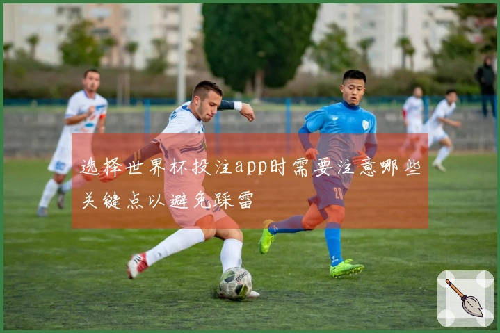 选择世界杯投注app时需要注意哪些关键点以避免踩雷