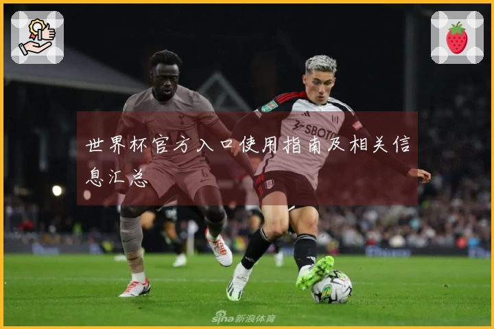 世界杯官方入口使用指南及相关信息汇总
