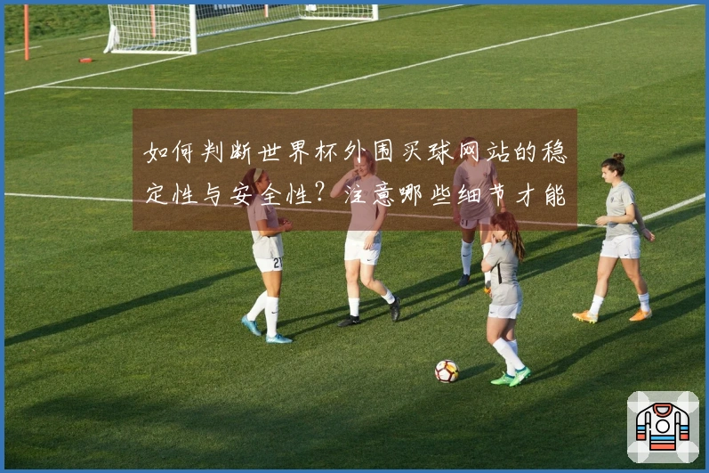 如何判断世界杯外围买球网站的稳定性与安全性？注意哪些细节才能避免风险？