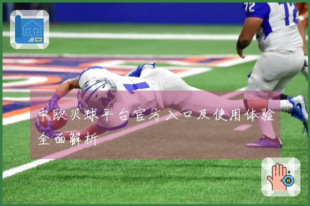 中欧买球平台官方入口及使用体验全面解析