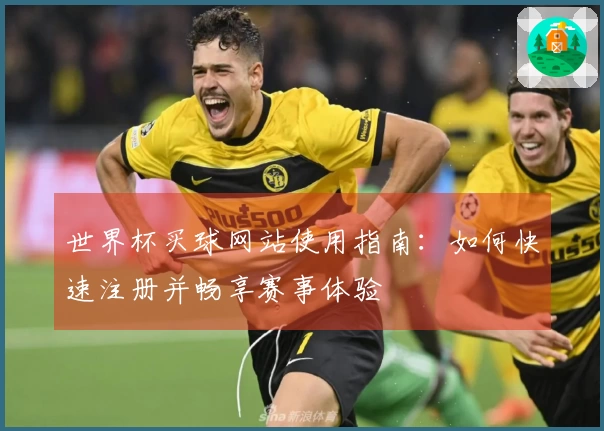 世界杯买球网站使用指南：如何快速注册并畅享赛事体验