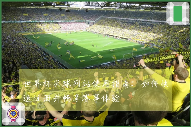 世界杯买球网站使用指南：如何快速注册并畅享赛事体验