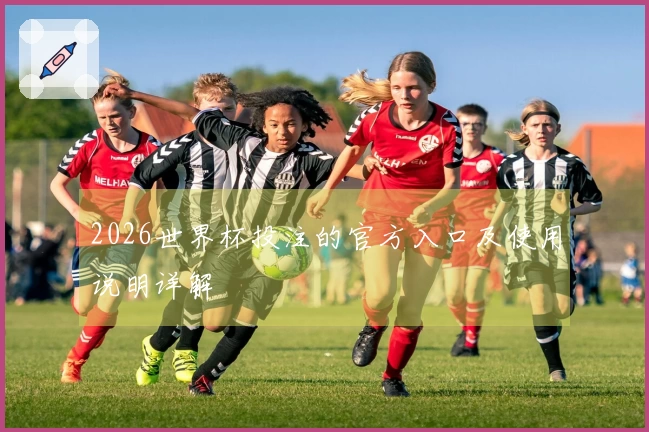 2026世界杯投注的官方入口及使用说明详解
