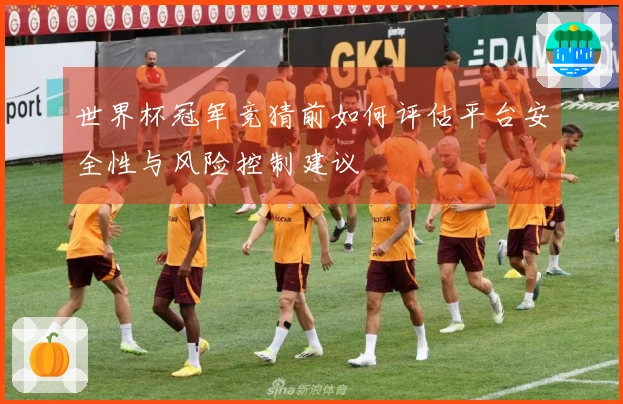 世界杯冠军竞猜前如何评估平台安全性与风险控制建议