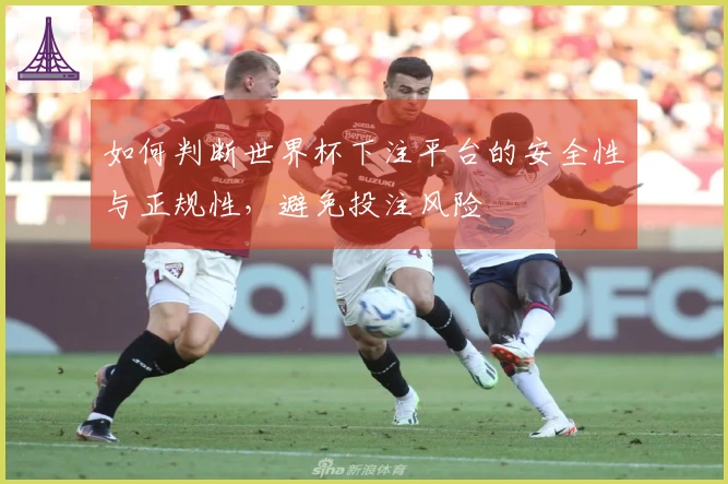 如何判断世界杯下注平台的安全性与正规性，避免投注风险