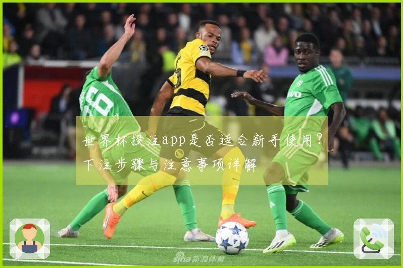 世界杯投注app是否适合新手使用？下注步骤与注意事项详解