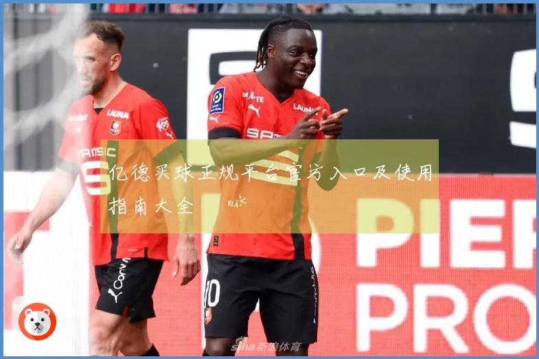 亿德买球正规平台官方入口及使用指南大全