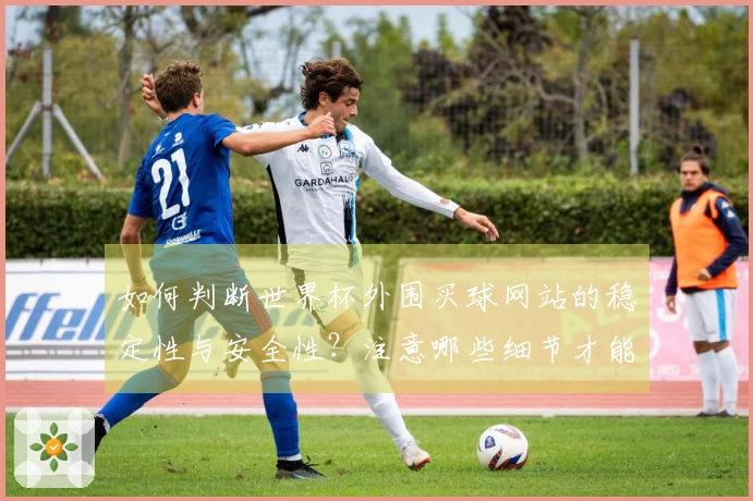 如何判断世界杯外围买球网站的稳定性与安全性？注意哪些细节才能避免风险？