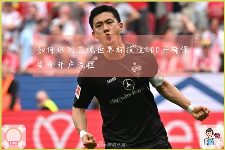 如何识别正规世界杯投注app并确保安全开户流程