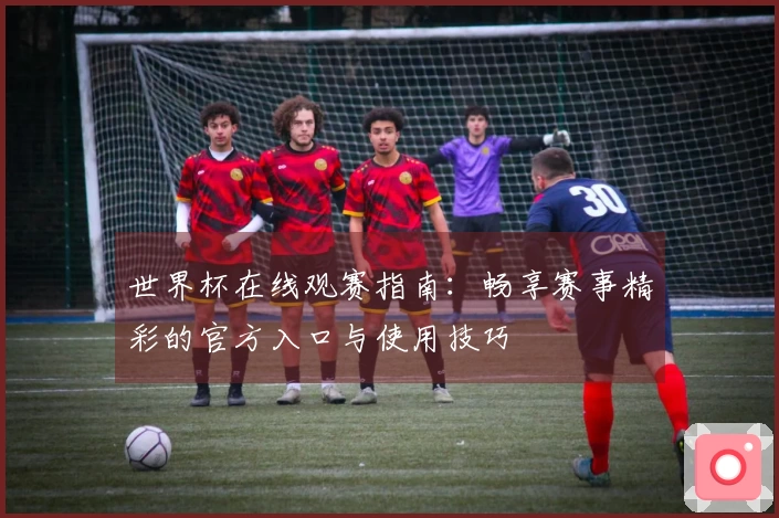 世界杯在线观赛指南：畅享赛事精彩的官方入口与使用技巧