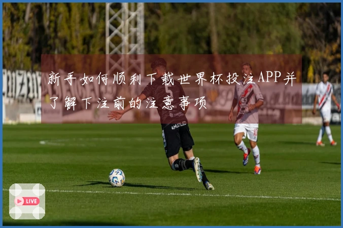 新手如何顺利下载世界杯投注APP并了解下注前的注意事项