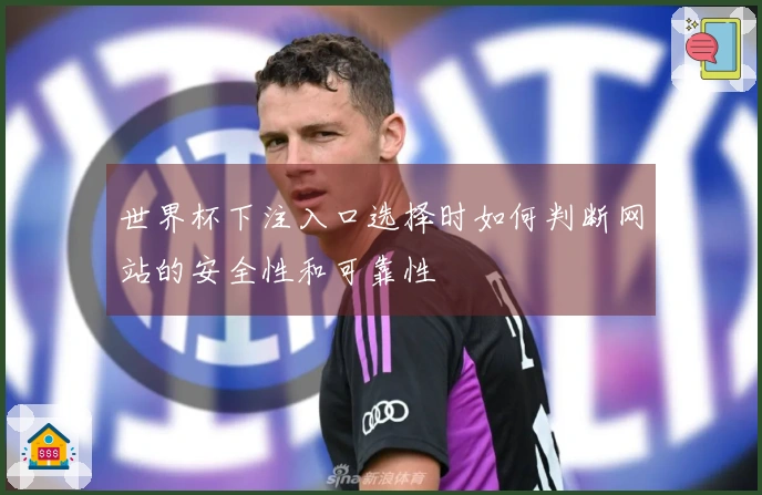 世界杯下注入口选择时如何判断网站的安全性和可靠性