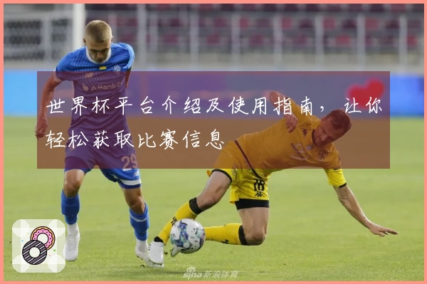 世界杯平台介绍及使用指南，让你轻松获取比赛信息