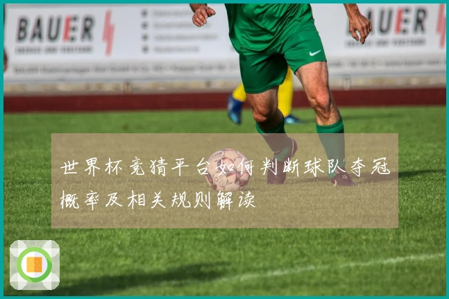 世界杯竞猜平台如何判断球队夺冠概率及相关规则解读