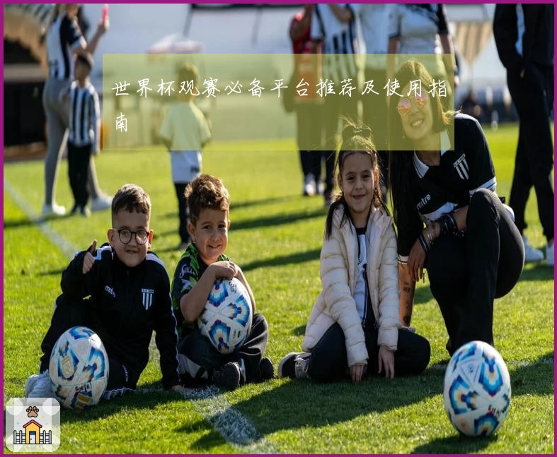 世界杯观赛必备平台推荐及使用指南