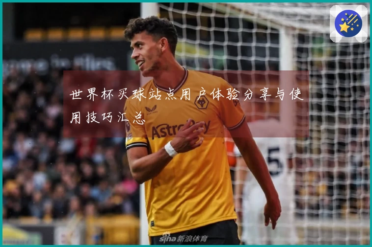 世界杯买球站点用户体验分享与使用技巧汇总