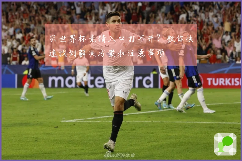 买世界杯竞猜入口打不开？教你快速找到解决方案和注意事项