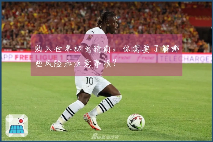 购入世界杯竞猜前，你需要了解哪些风险和注意事项？