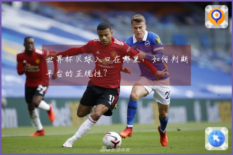 世界杯买球入口在哪里，如何判断平台的正规性？