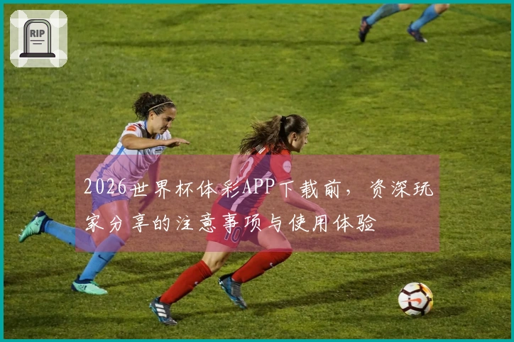 2026世界杯体彩APP下载前，资深玩家分享的注意事项与使用体验