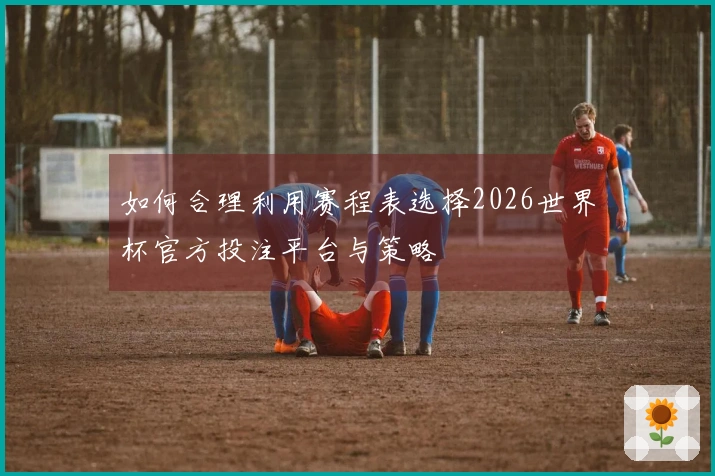 如何合理利用赛程表选择2026世界杯官方投注平台与策略