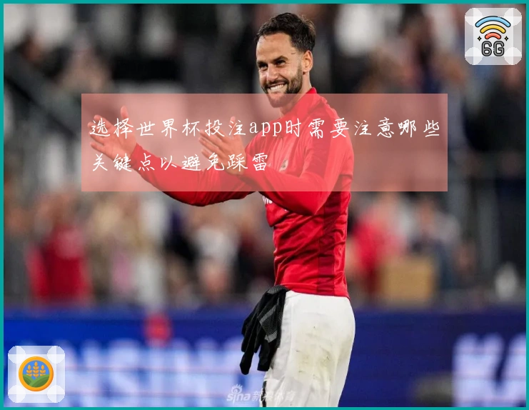选择世界杯投注app时需要注意哪些关键点以避免踩雷
