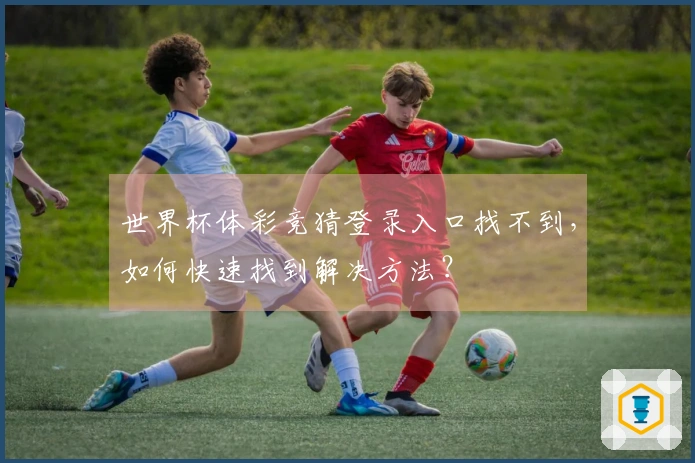 世界杯体彩竞猜登录入口找不到，如何快速找到解决方法？