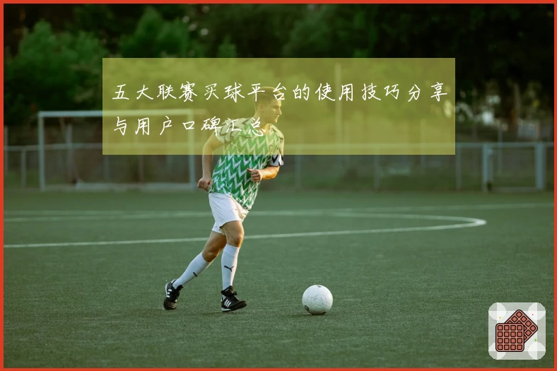 五大联赛买球平台的使用技巧分享与用户口碑汇总