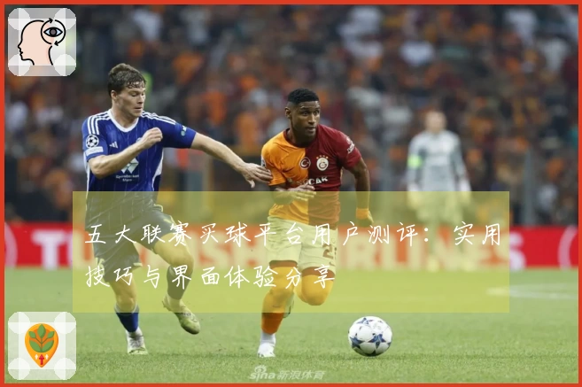五大联赛买球平台用户测评：实用技巧与界面体验分享