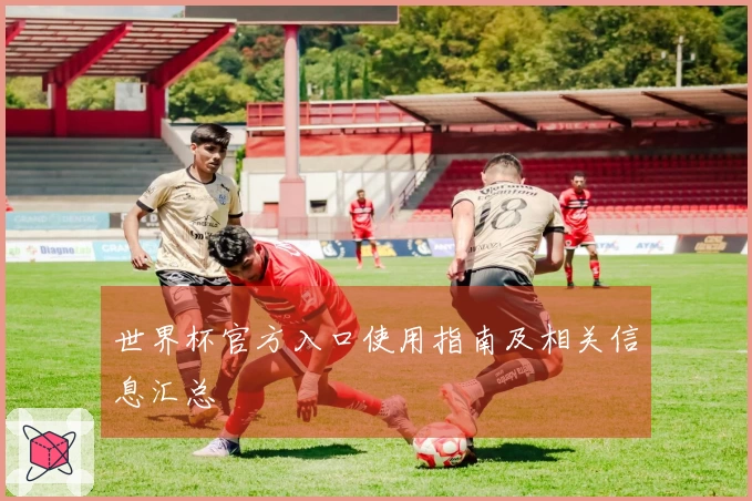 世界杯官方入口使用指南及相关信息汇总