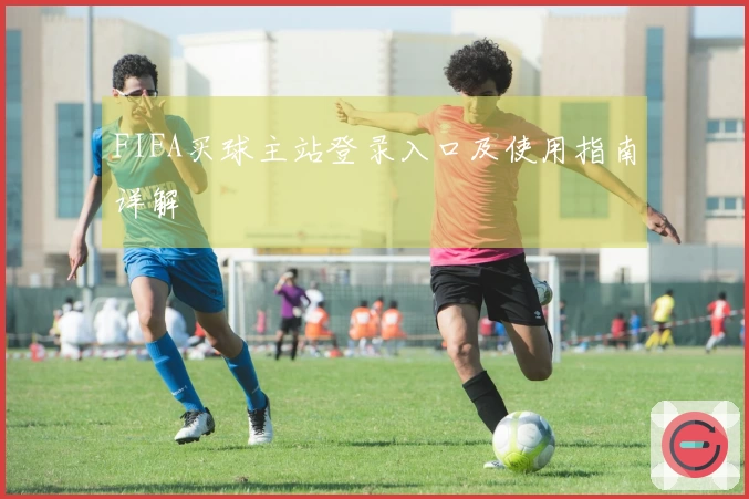 FIFA买球主站登录入口及使用指南详解