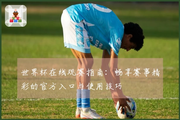 世界杯在线观赛指南:畅享赛事精彩的官方入口与使用技巧