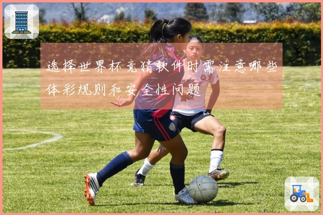 选择世界杯竞猜软件时需注意哪些体彩规则和安全性问题
