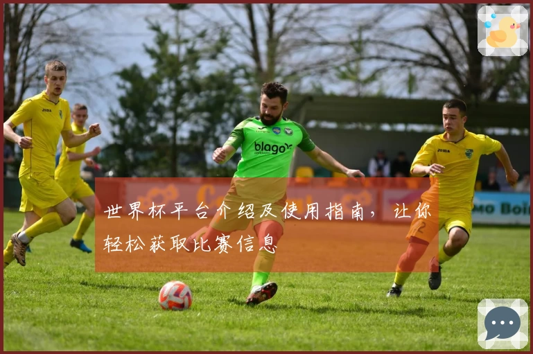 世界杯平台介绍及使用指南，让你轻松获取比赛信息