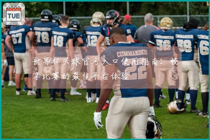 世界杯买球官方入口使用指南：畅享比赛的最佳平台体验