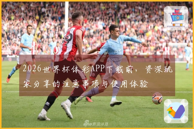 2026世界杯体彩APP下载前，资深玩家分享的注意事项与使用体验